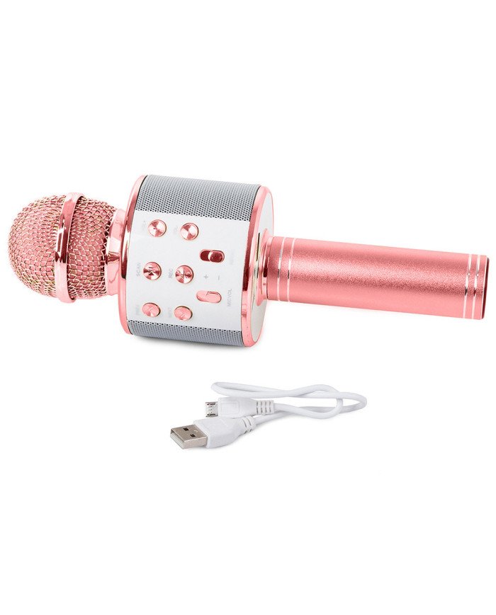 Karaoke mikrofon zvočnik roza