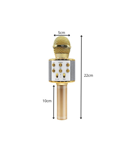 Karaoke zlati mikrofon zvočnik